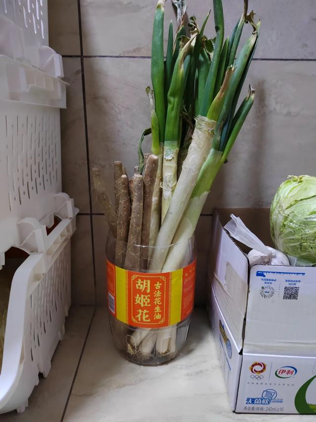 普通家庭生活小窍门_家庭简单的生活小妙招大全集_窍门普通家庭生活小妙招