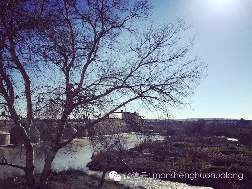 西班牙足球辉煌时期_西班牙足球历史战绩_西班牙足球辉煌历史记录
