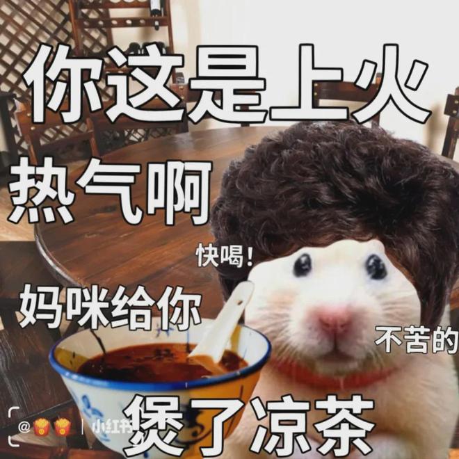 好健身男明星_健身特别厉害的一个男明星_以健身出名的男星