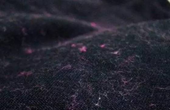 苹果籽可以做什么_生活小窍门苹果籽的作用_苹果籽的用途